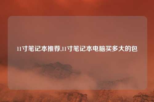 11寸笔记本推荐,11寸笔记本电脑买多大的包