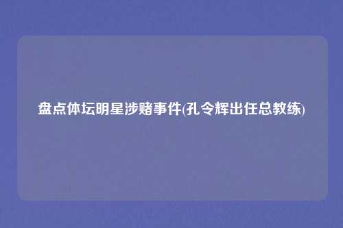 盘点体坛明星涉赌事件(孔令辉出任总教练)