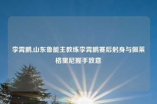李霄鹏,山东鲁能主教练李霄鹏赛后躬身与佩莱格里尼握手致意