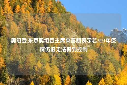 奥组委,东京奥组委主席森喜朗表示若2021年疫情仍旧无法得到控制