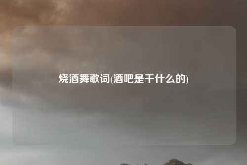 烧酒舞歌词(酒吧是干什么的)