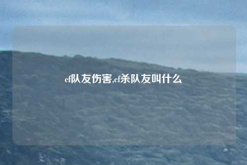 cf队友伤害,cf杀队友叫什么