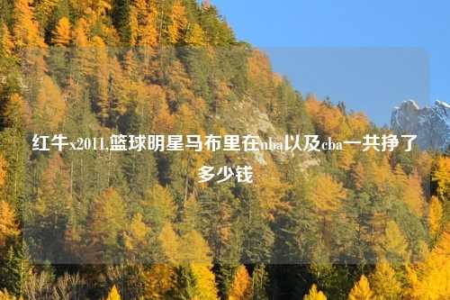 红牛x2011,篮球明星马布里在nba以及cba一共挣了多少钱