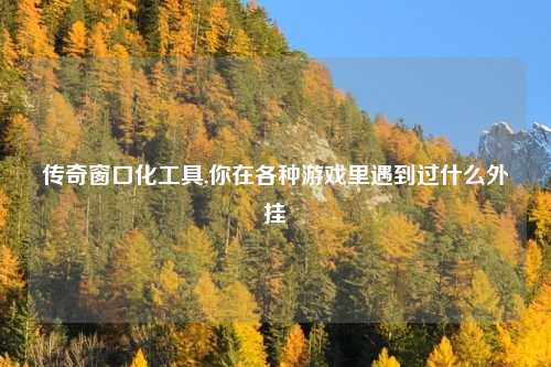 传奇窗口化工具,你在各种游戏里遇到过什么外挂