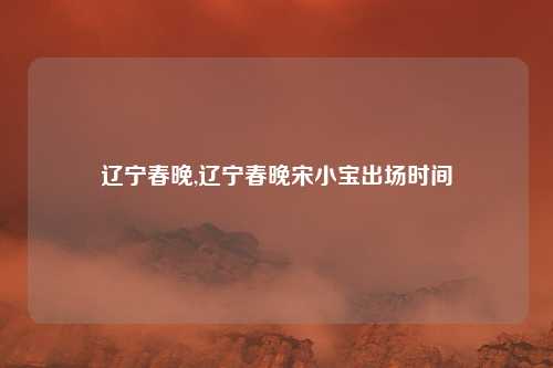 辽宁春晚,辽宁春晚宋小宝出场时间