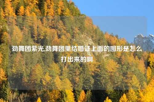 劲舞团紫光,劲舞团里结婚证上面的图形是怎么打出来的啊