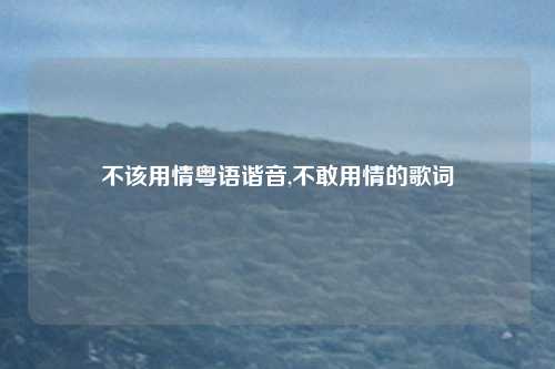 不该用情粤语谐音,不敢用情的歌词