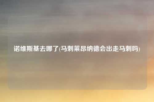 诺维斯基去哪了(马刺莱昂纳德会出走马刺吗)