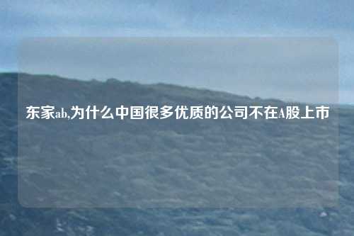 东家ab,为什么中国很多优质的公司不在A股上市