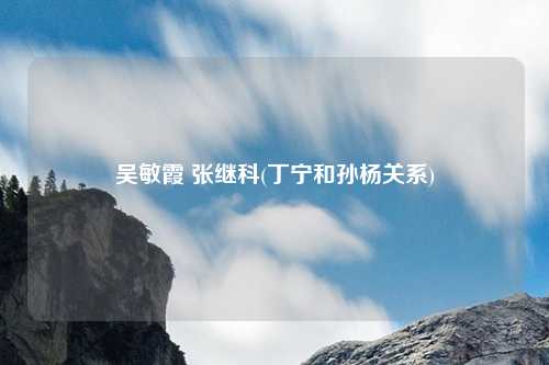 吴敏霞 张继科(丁宁和孙杨关系)