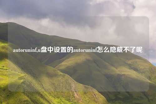 autoruninf,u盘中设置的autoruninf怎么隐藏不了呢