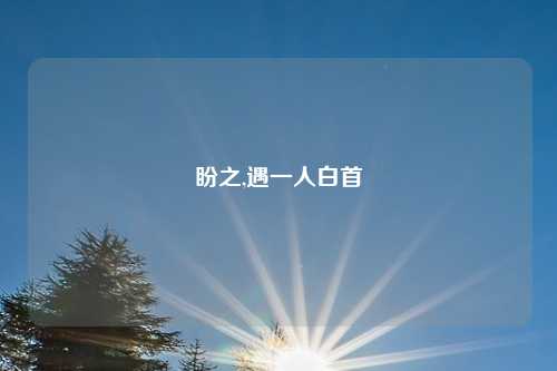 盼之,遇一人白首