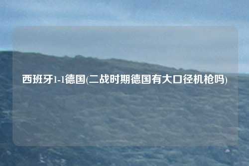 西班牙1-1德国(二战时期德国有大口径机枪吗)