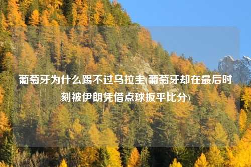 葡萄牙为什么踢不过乌拉圭(葡萄牙却在最后时刻被伊朗凭借点球扳平比分)