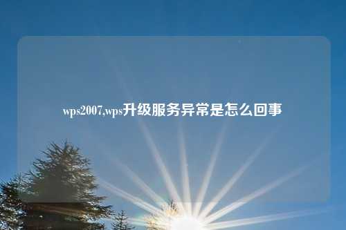 wps2007,wps升级服务异常是怎么回事