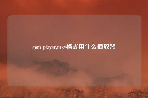 gom player,mkv格式用什么播放器