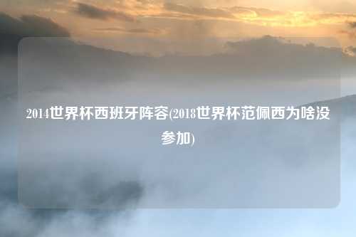 2014世界杯西班牙阵容(2018世界杯范佩西为啥没参加)