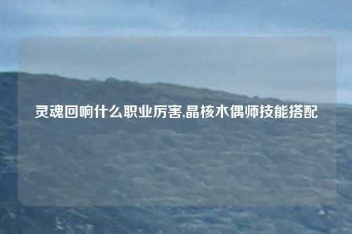 灵魂回响什么职业厉害,晶核木偶师技能搭配