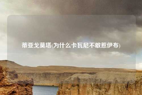 蒂亚戈莫塔(为什么卡瓦尼不敢惹伊布)
