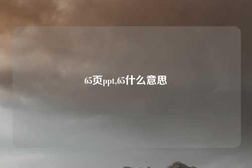 65页ppt,65什么意思