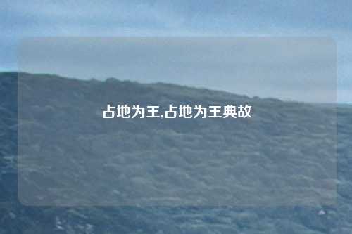 占地为王,占地为王典故