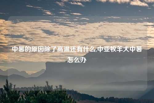 中暑的原因除了高温还有什么,中亚牧羊犬中暑怎么办