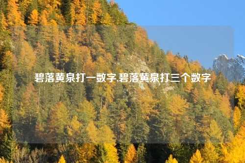 碧落黄泉打一数字,碧落黄泉打三个数字