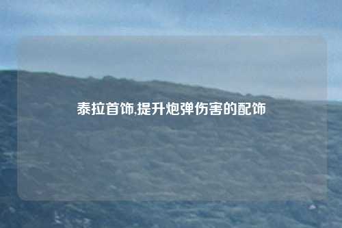 泰拉首饰,提升炮弹伤害的配饰