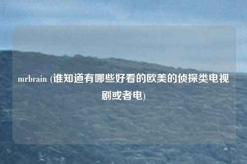 mrbrain (谁知道有哪些好看的欧美的侦探类电视剧或者电)