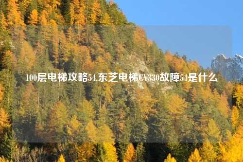 100层电梯攻略54,东芝电梯CV330故障54是什么