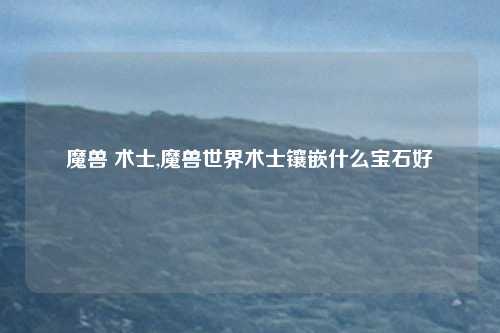 魔兽 术士,魔兽世界术士镶嵌什么宝石好