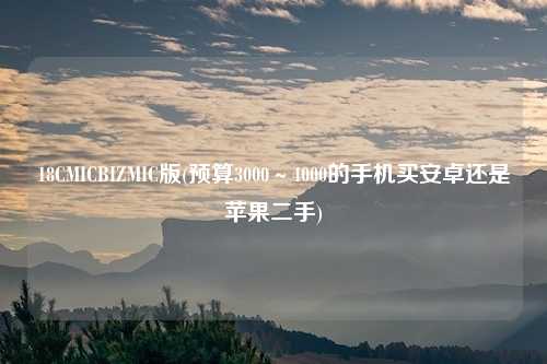 18CMICBIZMIC版(预算3000~4000的手机买安卓还是苹果二手)