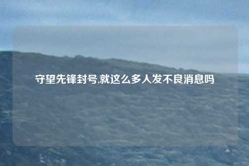 守望先锋封号,就这么多人发不良消息吗