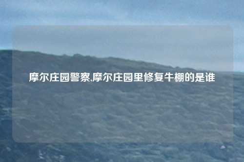 摩尔庄园警察,摩尔庄园里修复牛棚的是谁