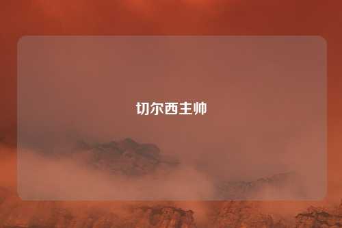 切尔西主帅