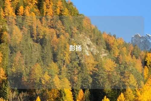 彭扬