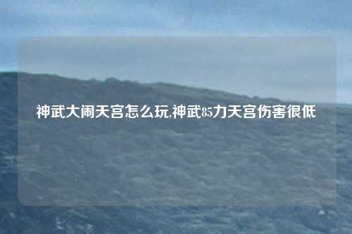 神武大闹天宫怎么玩,神武85力天宫伤害很低