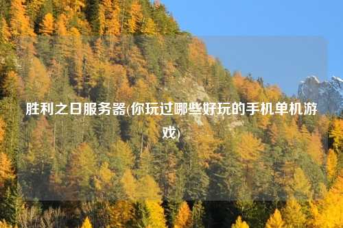 胜利之日服务器(你玩过哪些好玩的手机单机游戏)