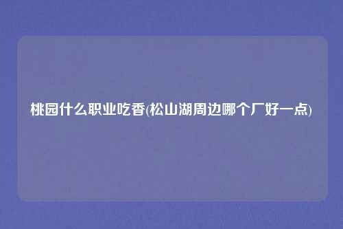 桃园什么职业吃香(松山湖周边哪个厂好一点)