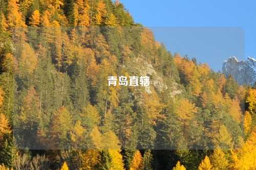 青岛直辖