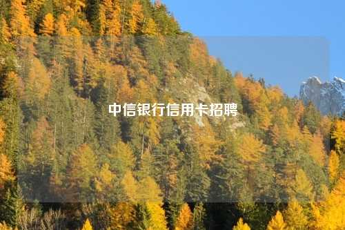 中信银行信用卡招聘
