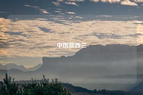 中国新西兰