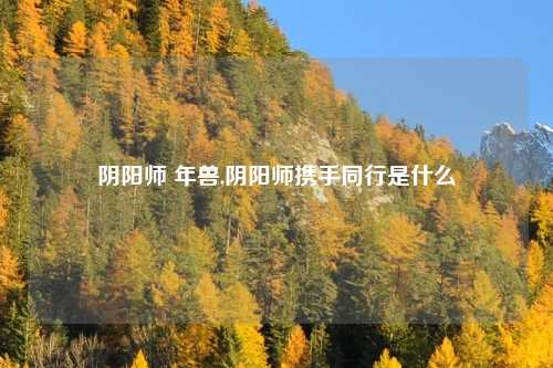 阴阳师 年兽,阴阳师携手同行是什么