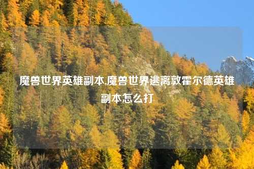 魔兽世界英雄副本,魔兽世界逃离敦霍尔德英雄副本怎么打