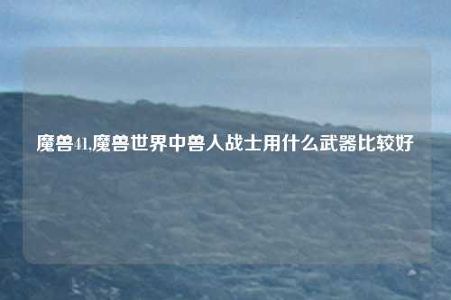 魔兽41,魔兽世界中兽人战士用什么武器比较好