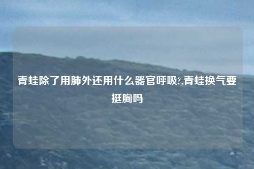 青蛙除了用肺外还用什么器官呼吸?,青蛙换气要挺胸吗