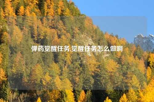 弹药觉醒任务,觉醒任务怎么做啊