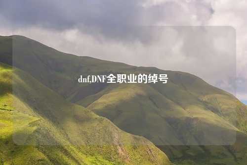 dnf,DNF全职业的绰号