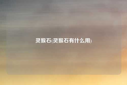 灵猴石(灵猴石有什么用)