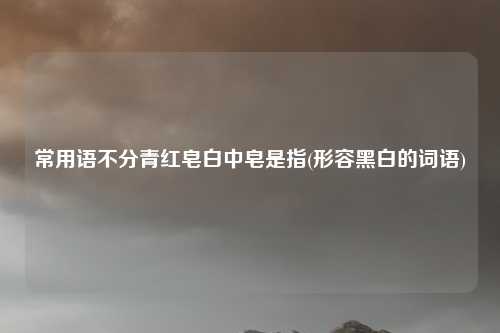 常用语不分青红皂白中皂是指(形容黑白的词语)